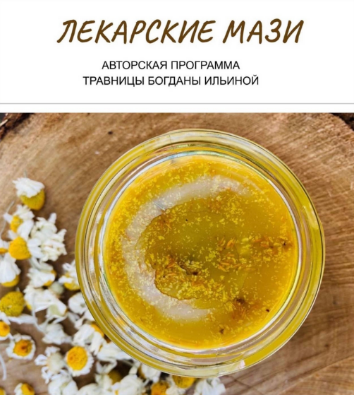 [Богдана Ильина] Лекарские мази (2024)_0.png